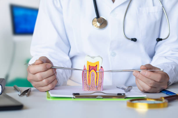 Best Walk-In Emergency Dental Services in Hartland, WI